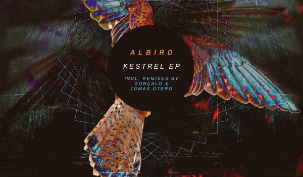 New EP ‘Kestrel’ coming up (11|11|2019)